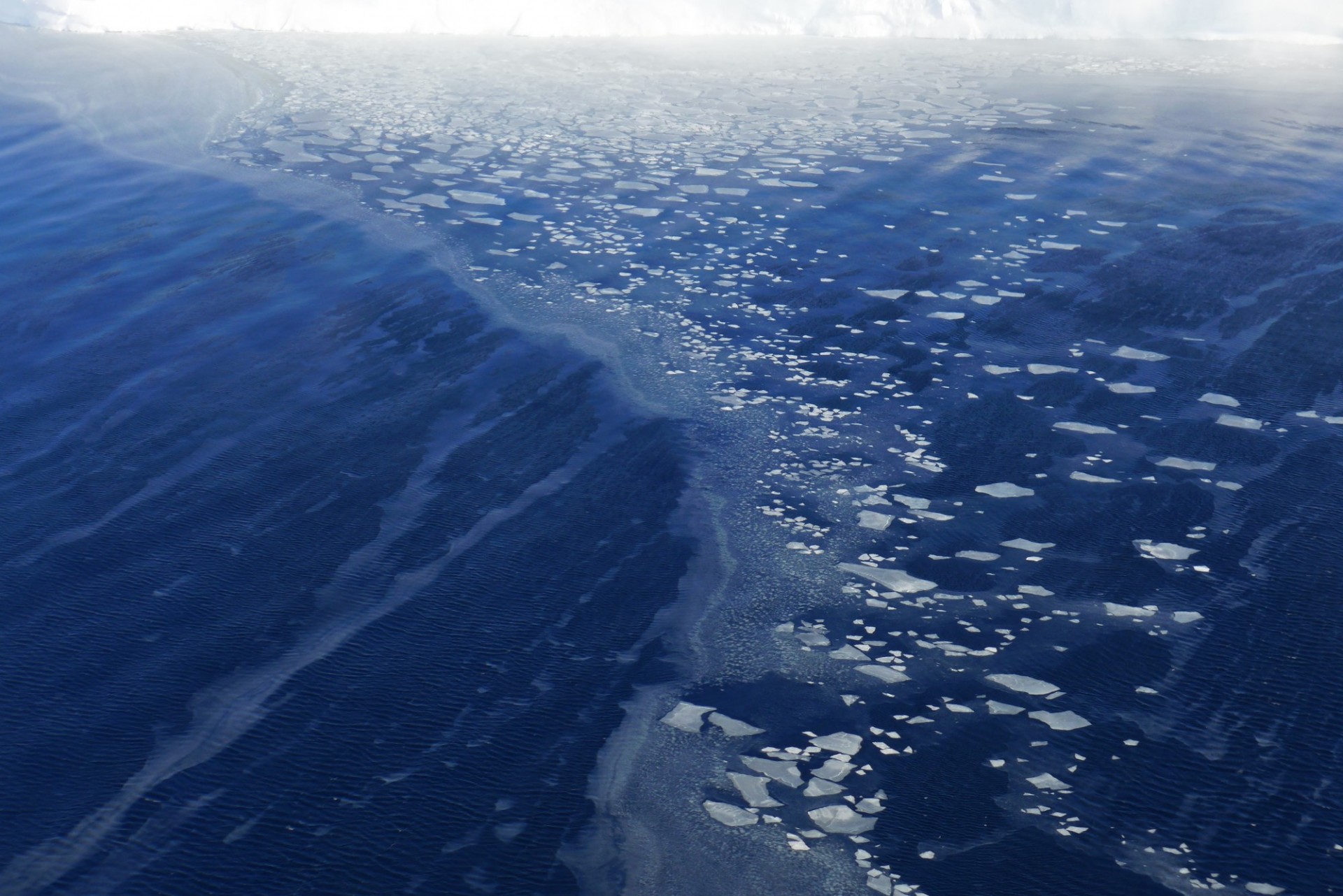 Sea ice floating on the Ross Sea at the ice shelf front. Photo: Martin Wearing