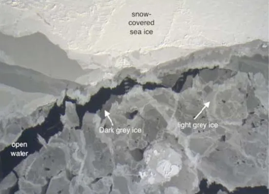 Bellinghausen sea ice labeled to show open water (dark areas), dark grey ice (less than 15 cm thick) and thicker light grey ice. Photo: NASA ATM